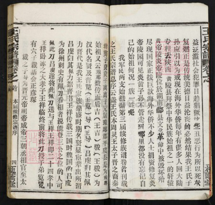 湖北省鄂州市华容区王氏槐荫堂族谱-王氏宗谱.pdf电子版插图5