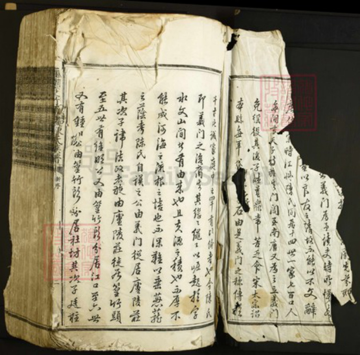 江西省吉安市陈氏族谱-卢陵篁竹头江口社坊陈氏族谱.pdf电子版插图1