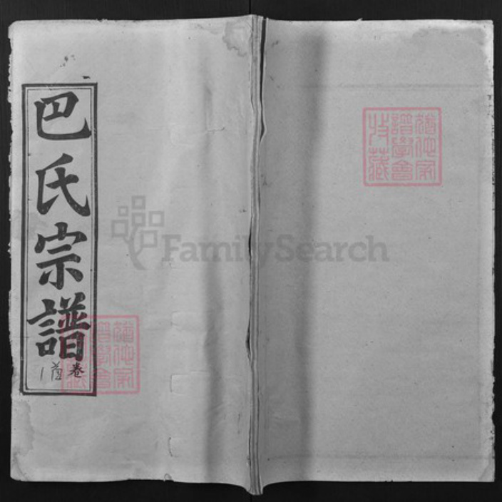 湖北省武汉市新洲区巴氏仁俭堂族谱-巴氏宗谱.pdf电子版