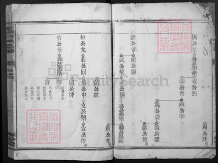 浙江省衢州柯城区汪氏承裕堂族谱-下洲汪氏宗谱.pdf电子版插图2