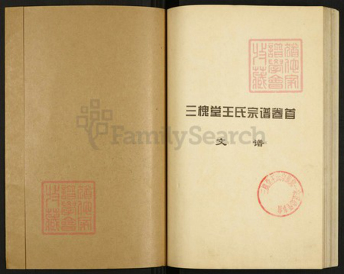 湖北省孝感市孝昌县邹岗镇王氏三槐堂族谱-澴川王氏族谱.pdf电子版插图1