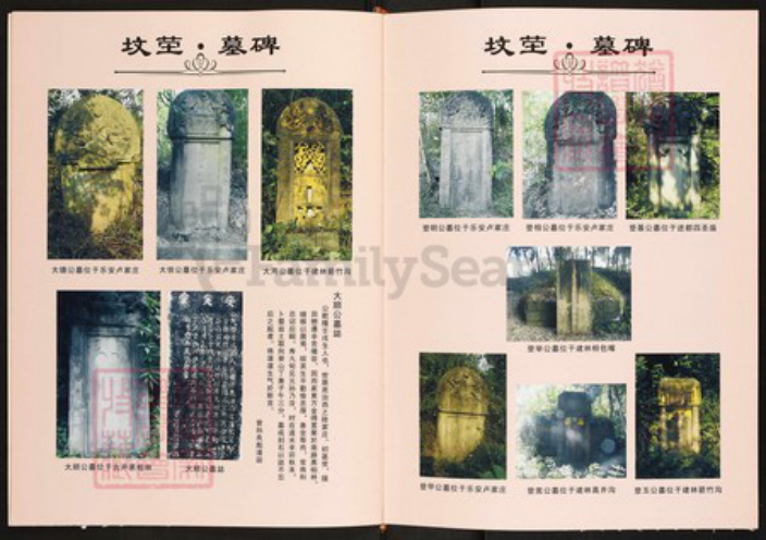 四川省绵阳市三台县四川省绵阳市三台县胡氏敦实堂族谱-胡氏族谱.pdf电子版插图4