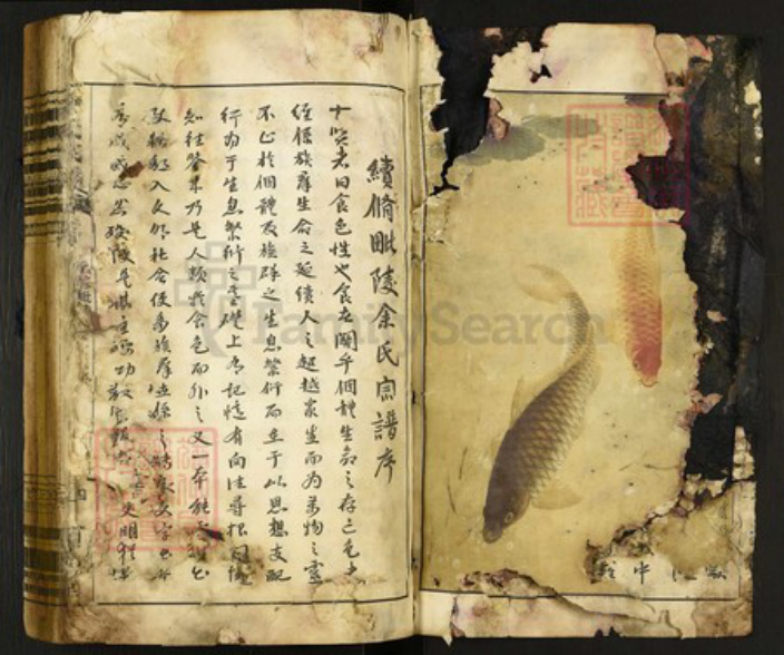 江苏省常州市天宁区余氏泗水堂族谱-毘陵余氏宗谱.pdf电子版插图1
