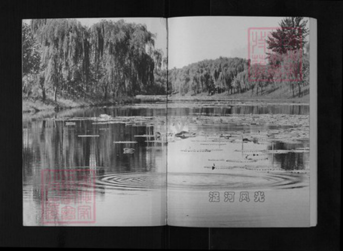 山东省潍坊市寒亭区于氏族谱-寒浞河畔于氏家族.pdf电子版插图1