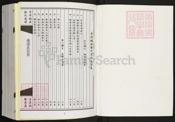 江苏省宿迁市泗阳县王集镇徐氏南洲堂族谱-中华桃源徐氏通谱.pdf电子版插图1