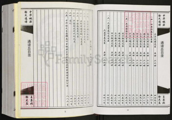 江苏省宿迁市泗阳县王集镇徐氏南洲堂族谱-中华桃源徐氏通谱.pdf电子版插图3