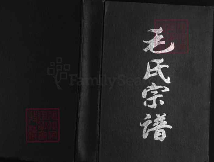 江苏省盐城市阜宁县新沟镇毛氏(讠主)诗堂族谱-毛氏宗谱.pdf电子版插图