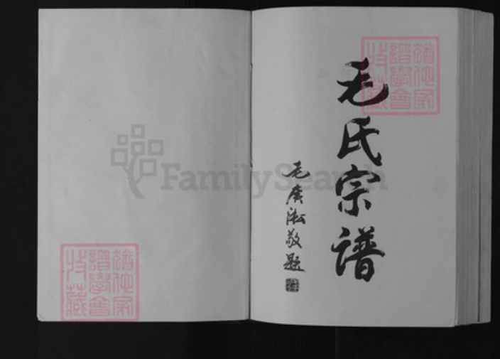 江苏省盐城市阜宁县新沟镇毛氏(讠主)诗堂族谱-毛氏宗谱.pdf电子版插图1