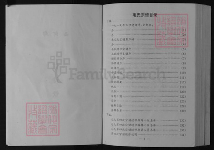 江苏省盐城市阜宁县新沟镇毛氏(讠主)诗堂族谱-毛氏宗谱.pdf电子版插图3