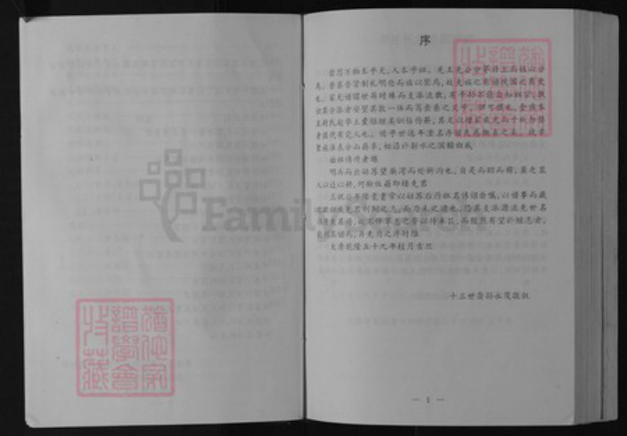 江苏省盐城市阜宁县新沟镇毛氏(讠主)诗堂族谱-毛氏宗谱.pdf电子版插图5