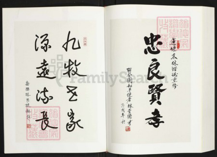福建省福州市福州市辖区林氏族谱-连江东林谱志.pdf电子版插图3