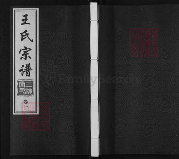 江苏省常州市天宁区郑陆镇王氏三槐堂族谱-王氏宗谱.pdf电子版插图