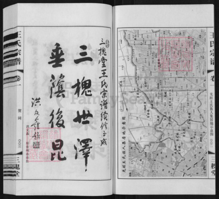 江苏省常州市天宁区郑陆镇王氏三槐堂族谱-王氏宗谱.pdf电子版插图3
