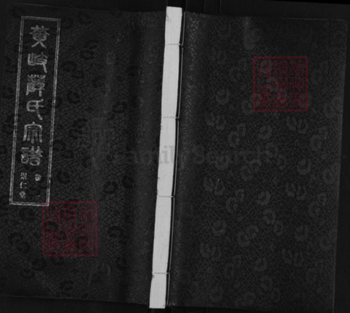 江苏省无锡市江阴市城东街道薛氏崇仁堂族谱-黄岐薛氏宗谱.pdf电子版插图 江苏省无锡市江阴市城东街道薛氏崇仁堂族谱-黄岐薛氏宗谱.pdf电子版插图