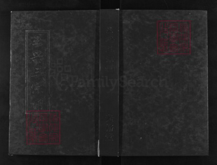 湖北省武汉市新洲区王氏光裕堂族谱-王兴三宗谱.pdf电子版插图 湖北省武汉市新洲区王氏光裕堂族谱-王兴三宗谱.pdf电子版插图