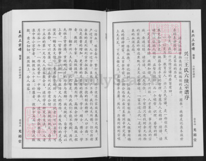 湖北省武汉市新洲区王氏光裕堂族谱-王兴三宗谱.pdf电子版插图3 湖北省武汉市新洲区王氏光裕堂族谱-王兴三宗谱.pdf电子版插图3