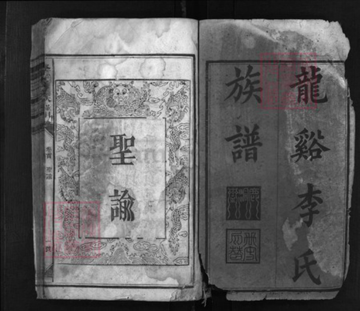 湖南省娄底市新化县李氏族谱-龙谿李氏族谱 [不分卷].pdf电子版插图1