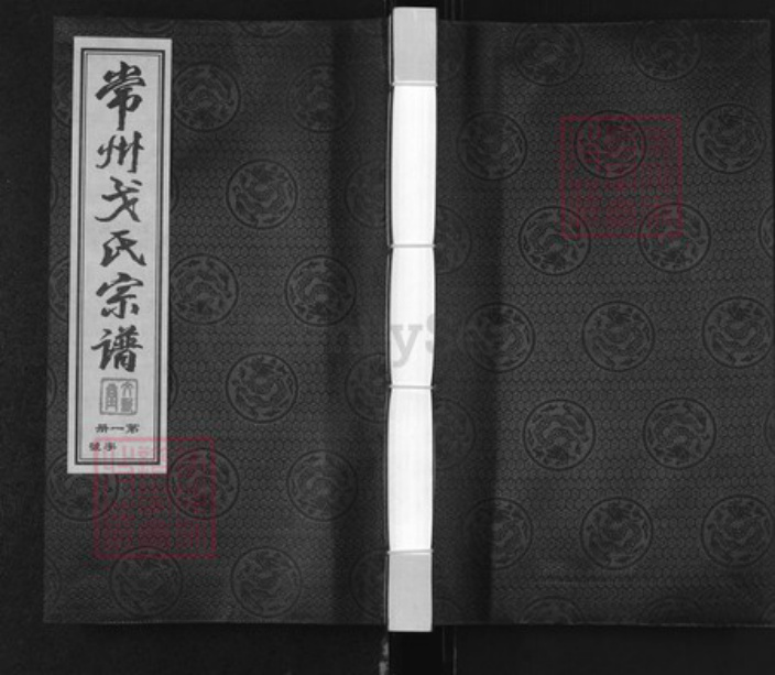 江苏省常州市武进县洛阳镇戈氏文新堂族谱-常州戈氏宗谱.pdf电子版