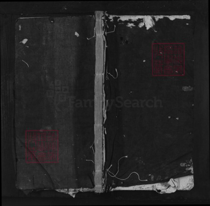 江西省抚州市南丰县傅坊乡王氏族谱-王氏宗谱.pdf电子版