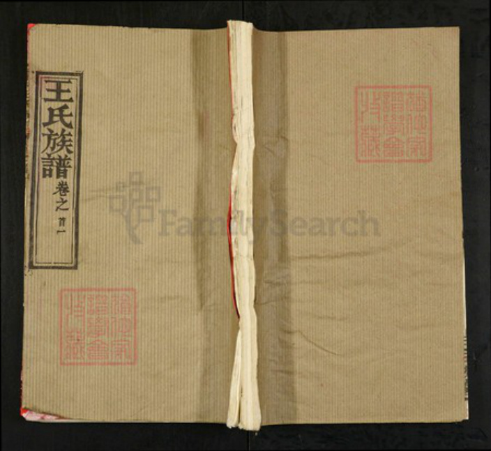 湖北省黄冈市黄州区王氏三槐堂族谱-阜村王氏族谱.pdf电子版