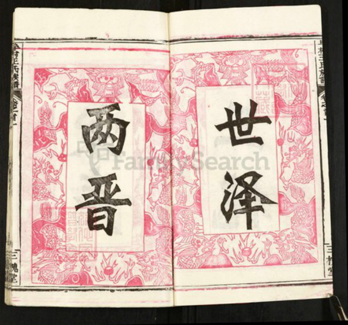 湖北省黄冈市黄州区王氏三槐堂族谱-阜村王氏族谱.pdf电子版插图3