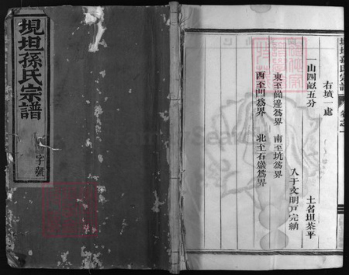 浙江省孙氏族谱-垷坦孙氏宗谱.pdf电子版