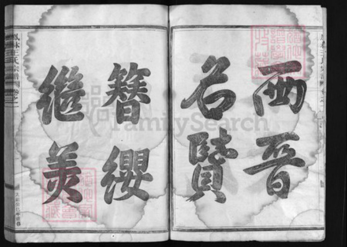 浙江省金华市义乌市义乌浙江省金华市金华王氏族谱-凤林王氏宗谱[12卷].pdf电子版插图2