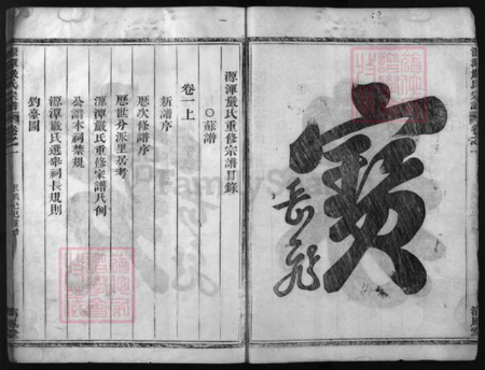 浙江省严氏族谱-源潭严氏宗谱 [2卷, 行传6卷, 世系8卷].pdf电子版插图2