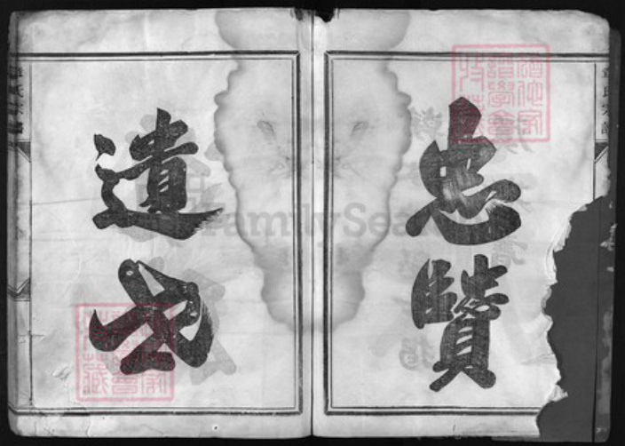 浙江省金华市章氏族谱-章氏宗谱[8卷].pdf电子版插图4