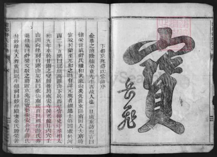 浙江省舒氏族谱-兰谿舒氏宗谱 [不分卷].pdf电子版插图2