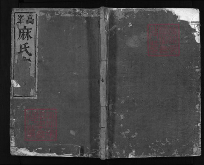 浙江省麻氏族谱-高峰麻氏宗谱 [7卷].pdf电子版插图