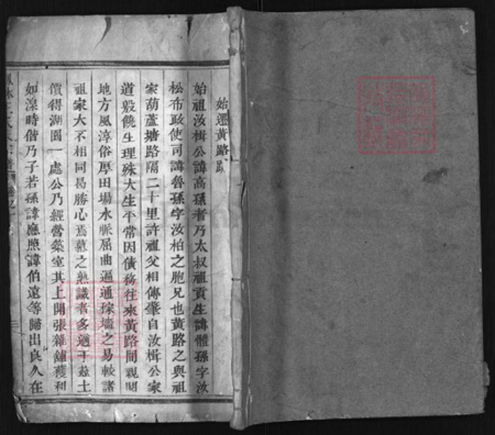 浙江省金华市义乌市义乌王氏族谱-凤林王氏大宗谱[4卷].pdf电子版插图