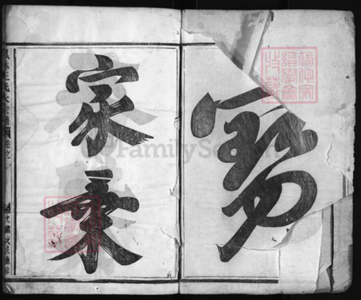 浙江省金华市义乌市义乌王氏族谱-凤林王氏大宗谱 [8卷].pdf电子版插图2
