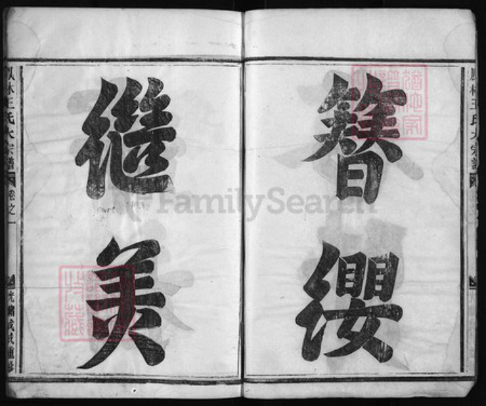 浙江省金华市义乌市义乌王氏族谱-凤林王氏大宗谱 [8卷].pdf电子版插图4