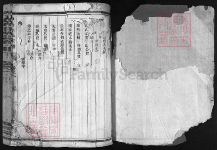 浙江省郎氏族谱-东鲁郎氏宗谱 [9卷].pdf电子版插图1