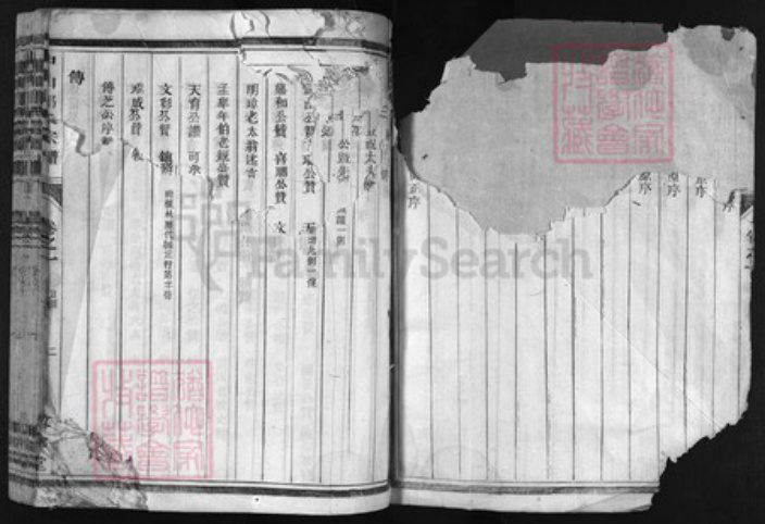 浙江省郎氏族谱-东鲁郎氏宗谱 [9卷].pdf电子版插图2