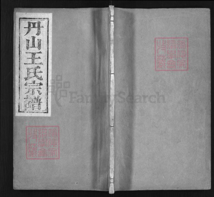 浙江省王氏族谱-丹山王氏宗谱 [18卷, 首末各1卷].pdf电子版插图
