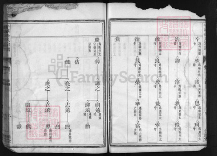 浙江省徐氏族谱-午塘徐氏宗谱 [残卷].pdf电子版插图4