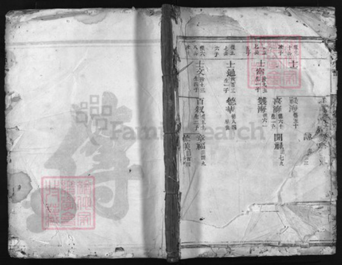 浙江省衢州龙游县张氏族谱-张氏宗谱 [3卷].pdf电子版插图