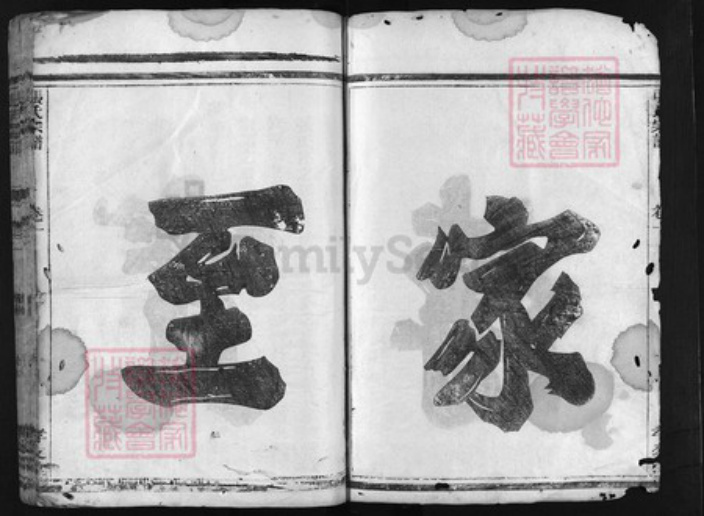 浙江省衢州龙游县张氏族谱-张氏宗谱 [3卷].pdf电子版插图2