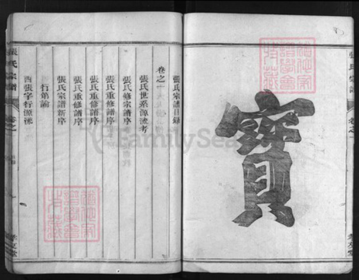 浙江省衢州龙游县张氏族谱-张氏宗谱 [3卷].pdf电子版插图3