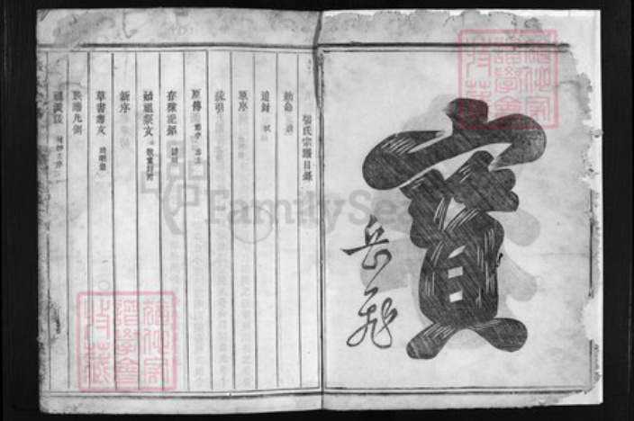 浙江省张氏族谱-张氏宗谱 [卷数不详].pdf电子版插图3