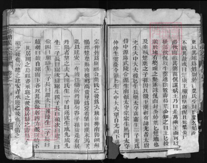 浙江省叶氏族谱-新塘叶氏宗谱 [残卷].pdf电子版插图3