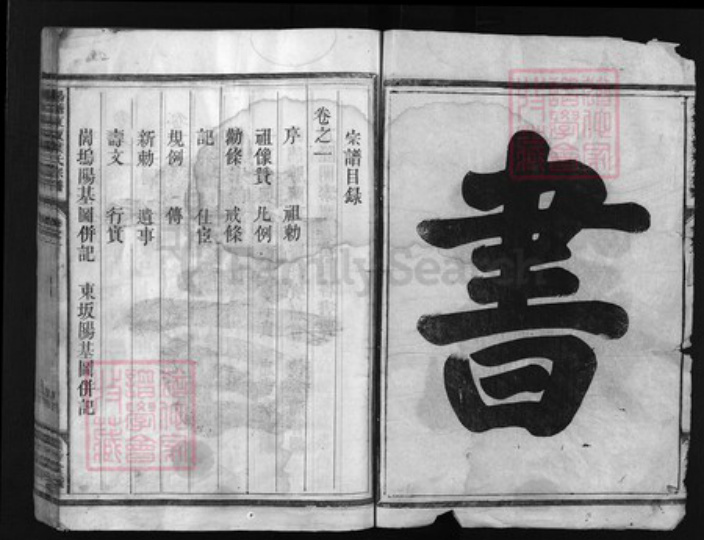 浙江省叶氏族谱-杨塘东坂叶氏宗谱 [3卷].pdf电子版插图2