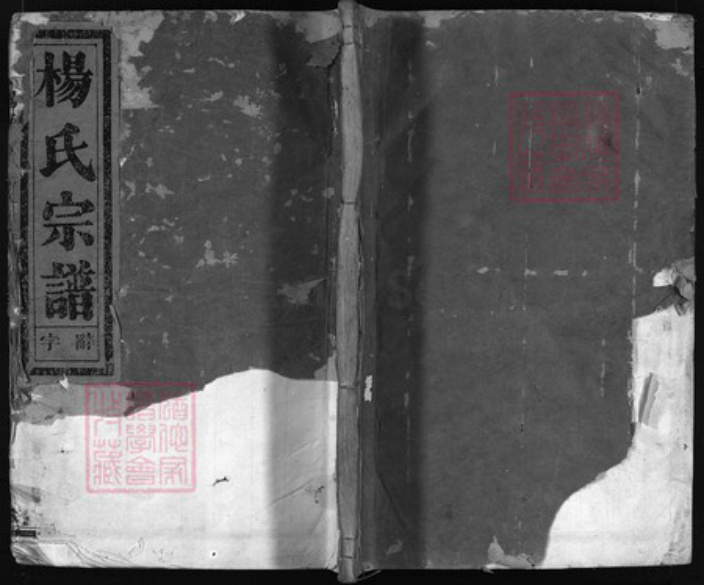 浙江省杨氏族谱-杨氏宗谱 [4卷].pdf电子版插图