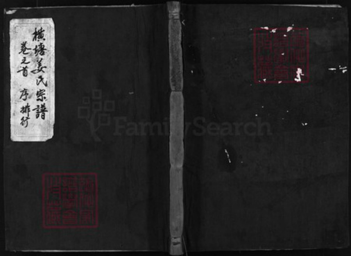 浙江省姜氏族谱-横塘姜氏宗谱 [残卷].pdf电子版