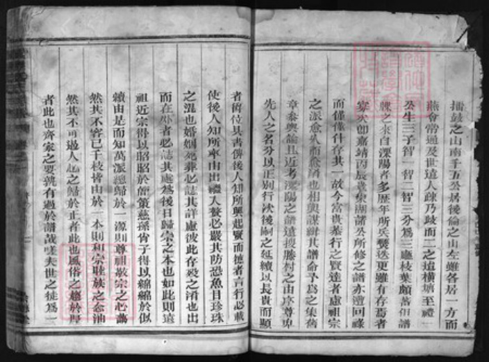 浙江省姜氏族谱-横塘姜氏宗谱 [残卷].pdf电子版插图4