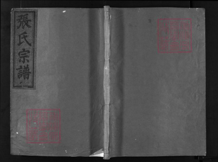 浙江省衢州龙游县张氏族谱-张氏宗谱 [6卷].pdf电子版