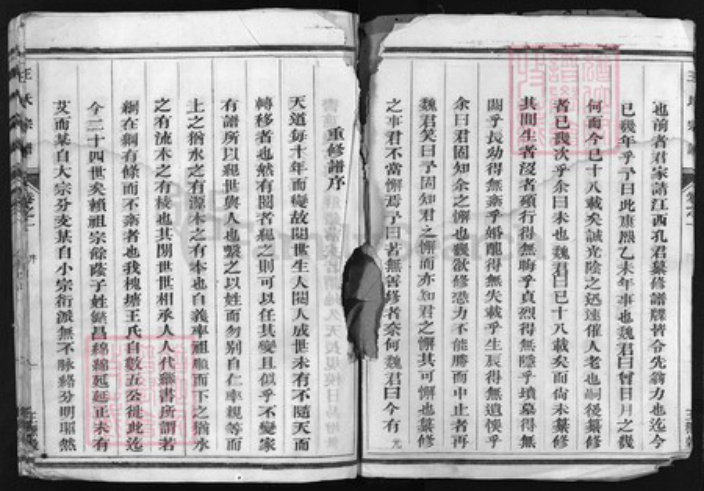 浙江省王氏族谱-王氏宗谱 [4卷].pdf电子版插图4