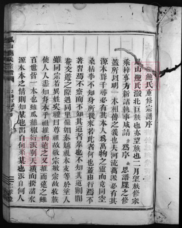 浙江省鲍氏族谱-兰江凤山鲍氏宗谱.pdf电子版插图2